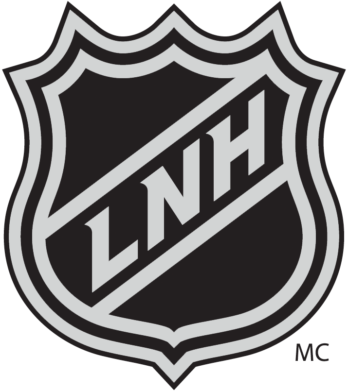 National Hockey League 2005-Pres Alternate Logo v2 DIY iron on transfer (heat transfer)